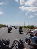 DSC01262.jpg (46kb)
