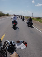 DSC01263.jpg (53kb)