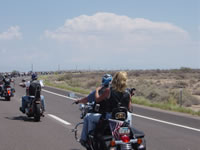 DSC01272.jpg (45kb)