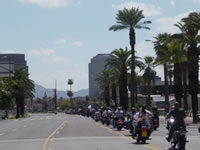 DSC01291.jpg (54kb)