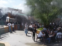 DSC01301.jpg (66kb)