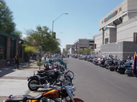 DSC01303.jpg (69kb)