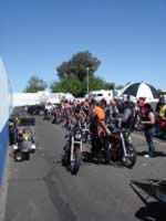 DSC00644.jpg (97kb)