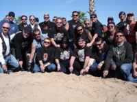 DSC00520.jpg (59kb)