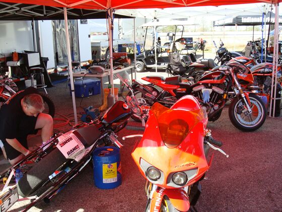 Click to See Next Image