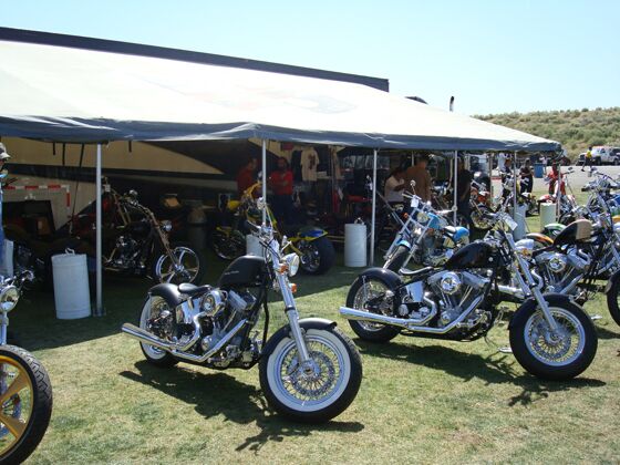 Click to See Next Image