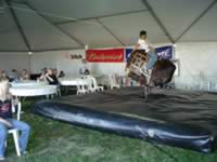 DSC00529.jpg (69kb)
