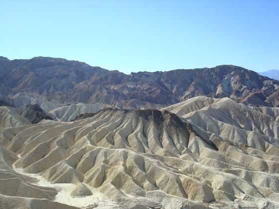 Click to See Next Image