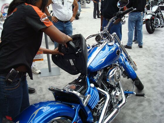 Click to See Next Image