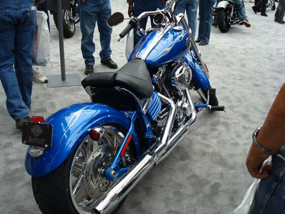 Click to See Next Image