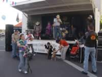 DSC04628.jpg (43kb)