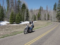 DSC03866.jpg (59kb)
