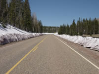DSC03875.jpg (47kb)