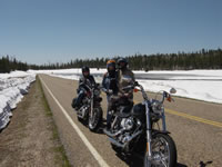 DSC03877.jpg (44kb)