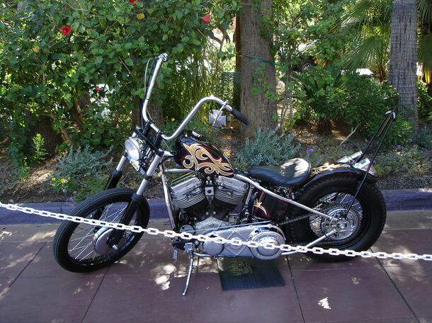 Click to See Next Image