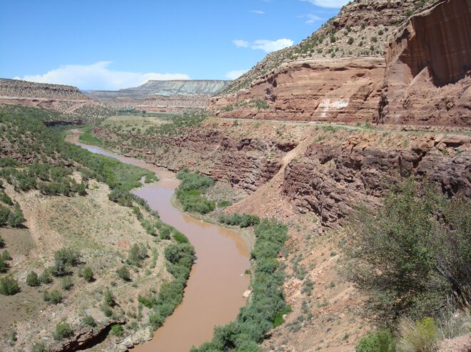 Click to See Next Image