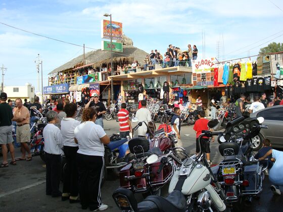 Click to See Next Image