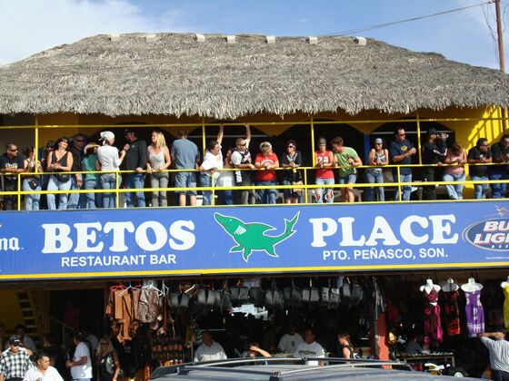 Click to See Next Image