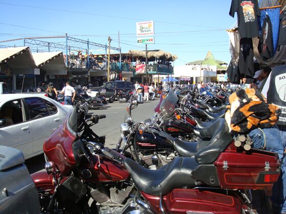 Click to See Next Image