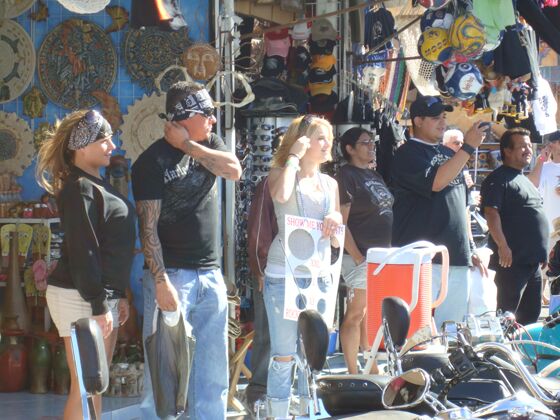 Click to See Next Image