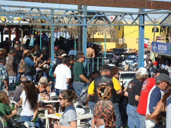 Click to See Next Image