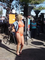 DSC03526.jpg (82kb)