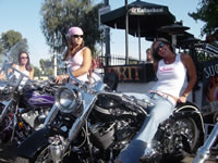 DSC03585.jpg (96kb)
