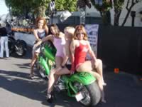 DSC04414.jpg (81kb)