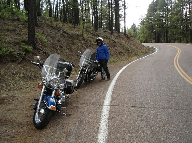 Click to See Next Image