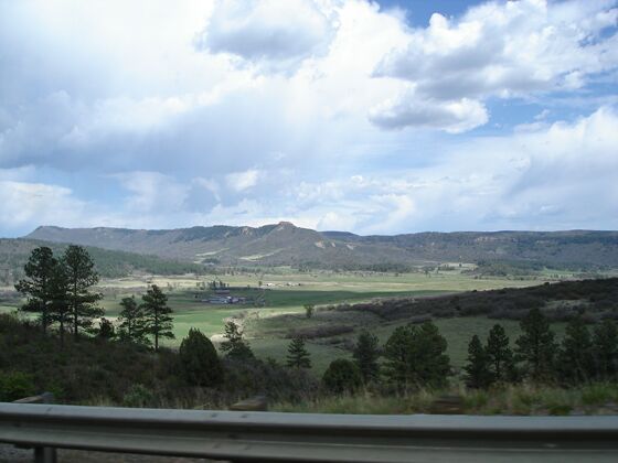 Click to See Next Image