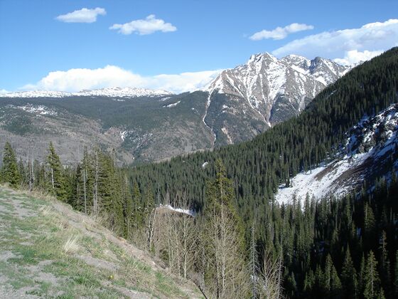 Click to See Next Image