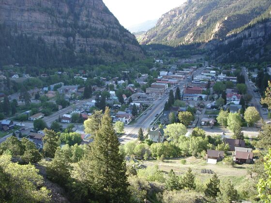 Click to See Next Image