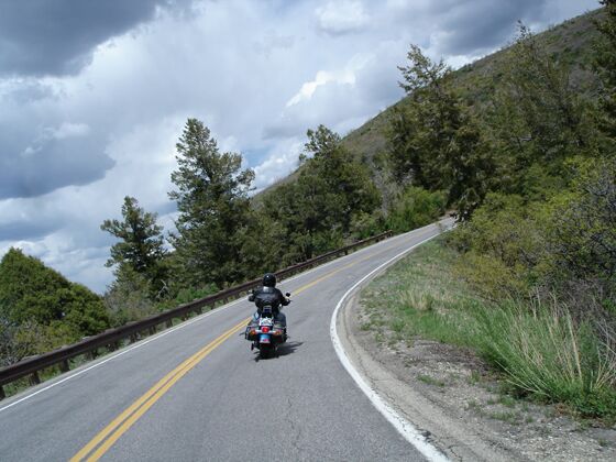 Click to See Next Image