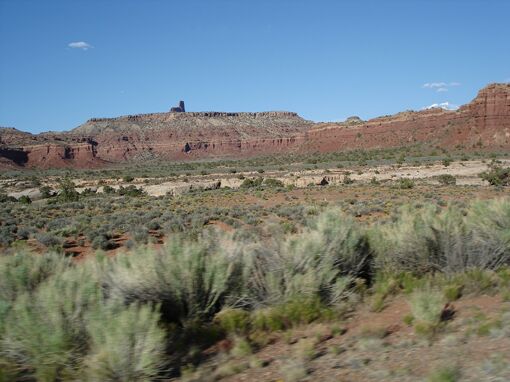 Click to See Next Image