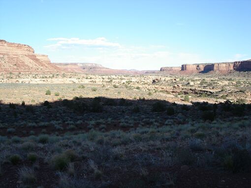 Click to See Next Image