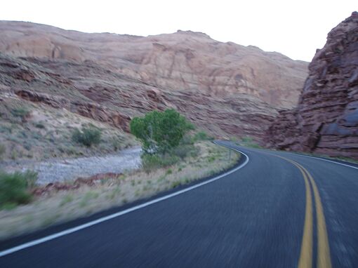 Click to See Next Image