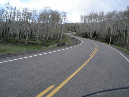 Click to See Next Image