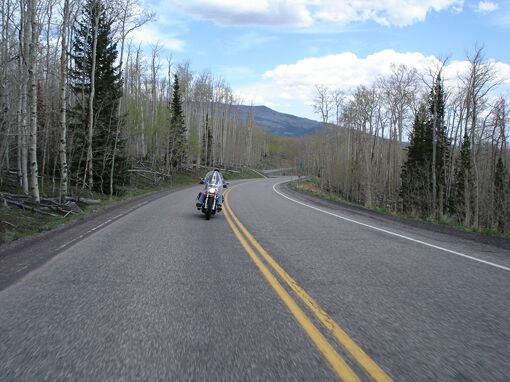 Click to See Next Image