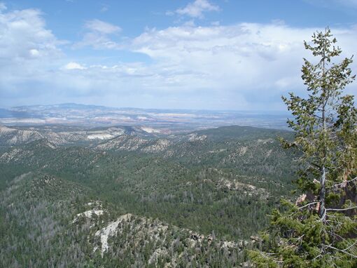 Click to See Next Image